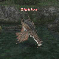 Ziphius
