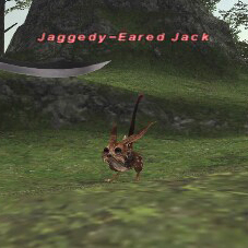 Jaggedy-Eared Jack