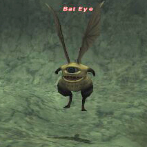 Bat Eye
