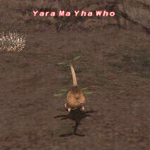 Yara Ma Ya Who