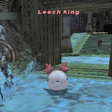 Leech King
