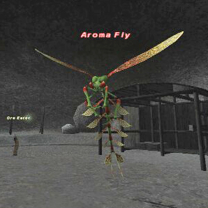 Aroma Fly