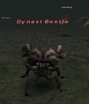 Dynast Beetle