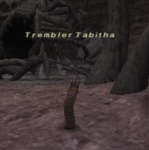 Trembler Tabitha