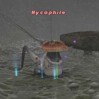Mycophile