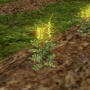 謎の香草の種：モグガーデン