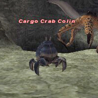 Cargo Crab Colin