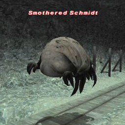Smothered Schmidt