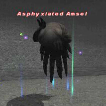 Asphyxiated Amsel